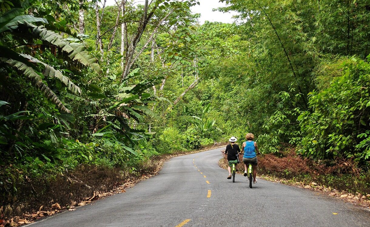 panama, bocas del toro, bike, ride, road, jungle, tropical, panama, panama, panama, panama, nature, panama