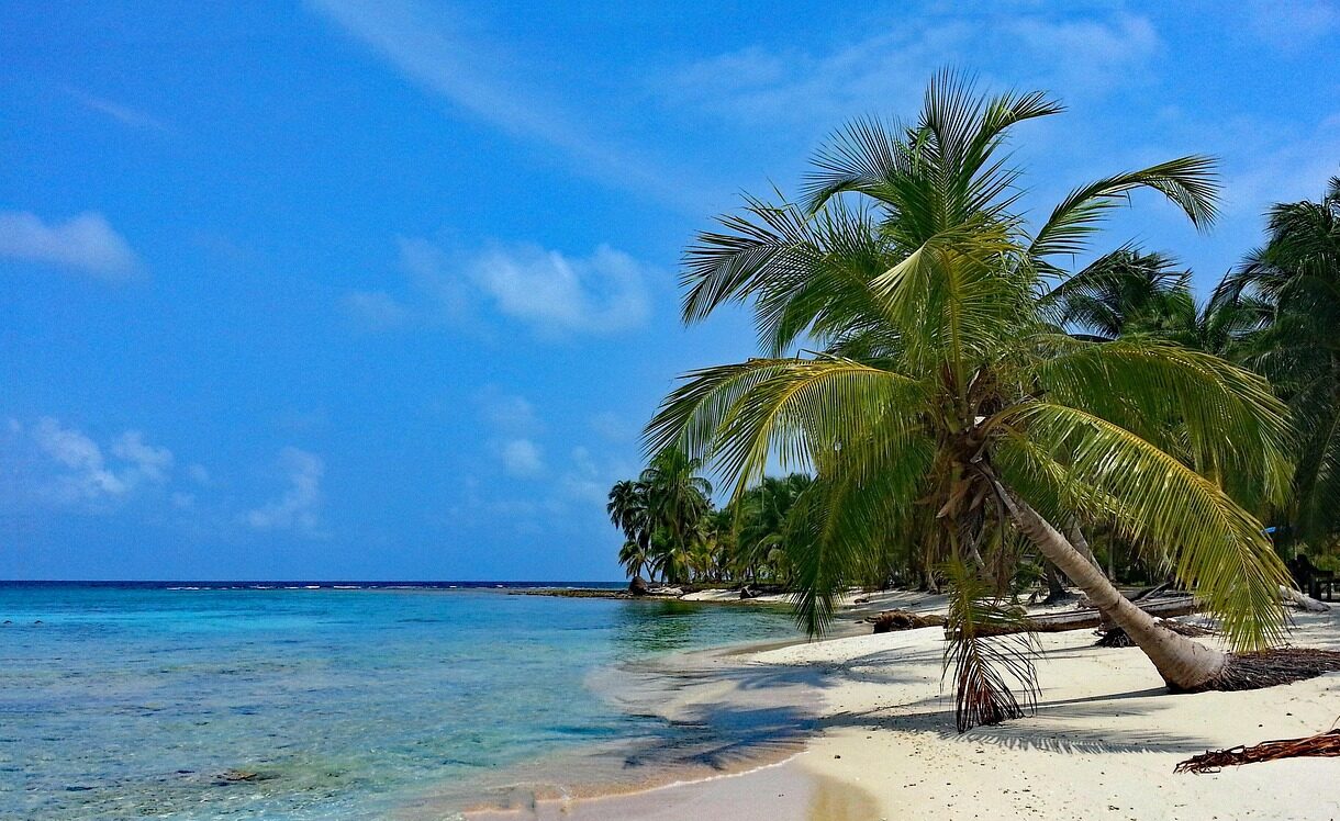 isla diablo, san blas, panama, guna yala, caribbean, island, palm trees, nature, sea, beach, crystal clear, water, indians, indian territory, sand, paradise, panama, panama, panama, panama, panama, caribbean