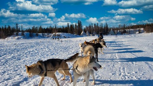 yellowknife, canada, aurora village, blue village, yellowknife, yellowknife, yellowknife, yellowknife, yellowknife