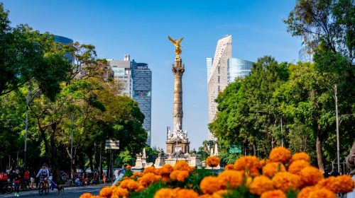 View of the Angel of Independence with vibrant marigolds and cityscape in Mexico City.